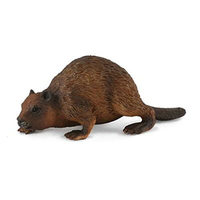 楽天市場 コレクタ Collecta 8 ビーバー 動物フィギュア 価格比較 商品価格ナビ 楽天市場 コレクタ Collecta 8 ビーバー 動物フィギュア 価格比較 商品価格ナビ